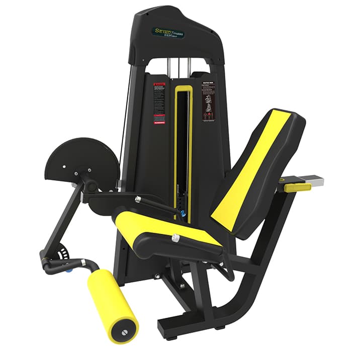 Leg Extension