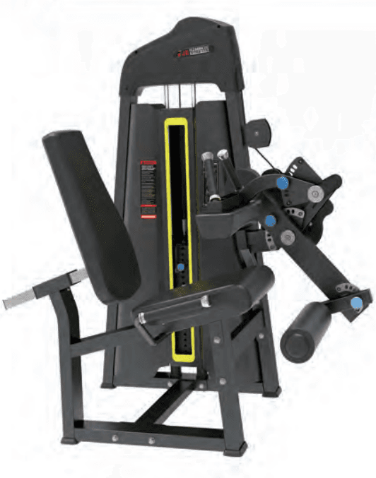 Leg Press / Leg Extension