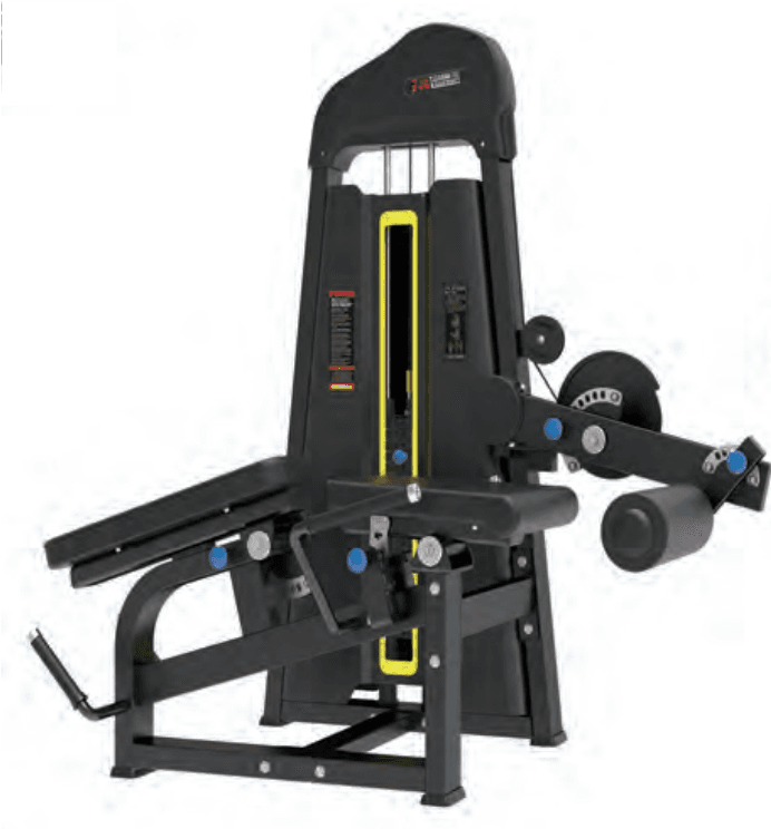 Leg Extension / Prone Leg Curl