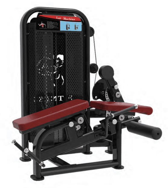 Prone Leg Curl / Leg Extension