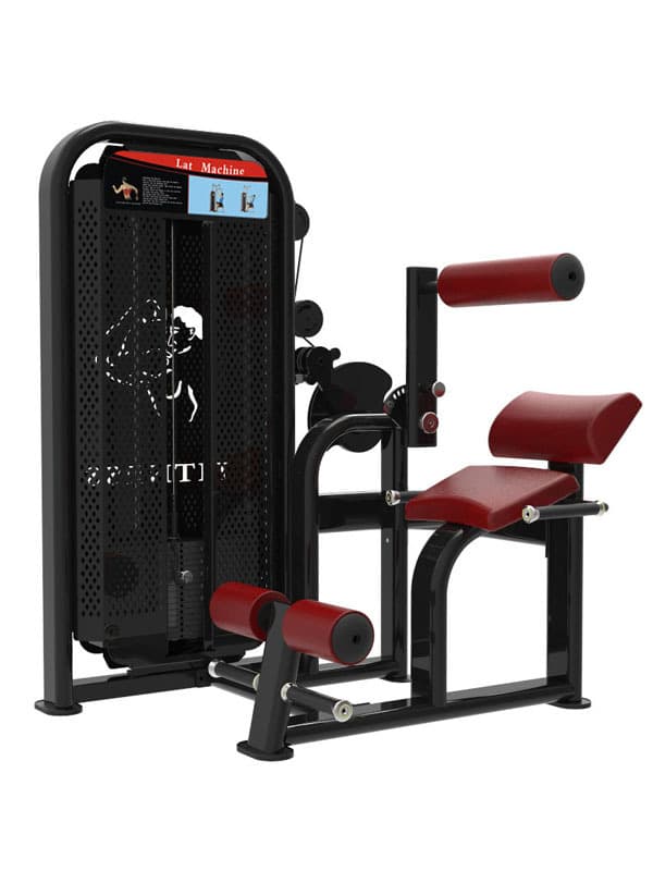 Back Extension / Abdominal Crunch