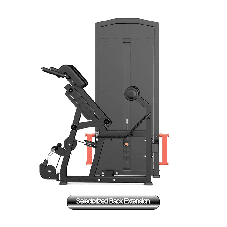 Back Extension