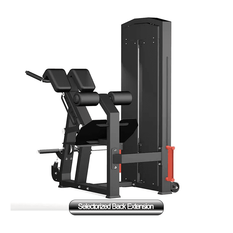 Back Extension thumbnail 3