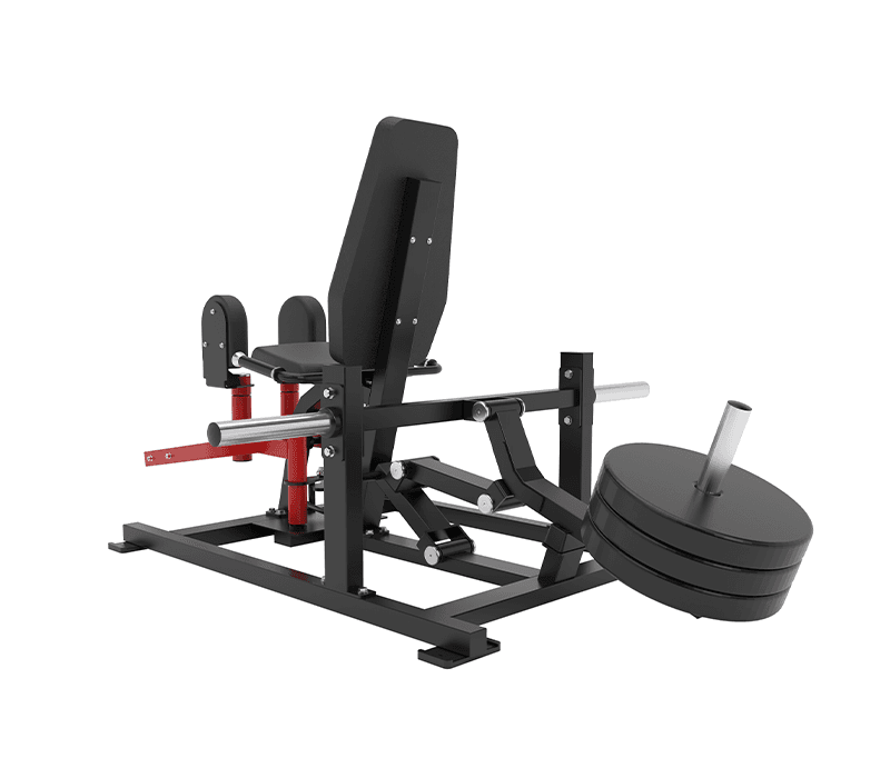 Plate-loaded
Adductor/Abductor thumbnail 3