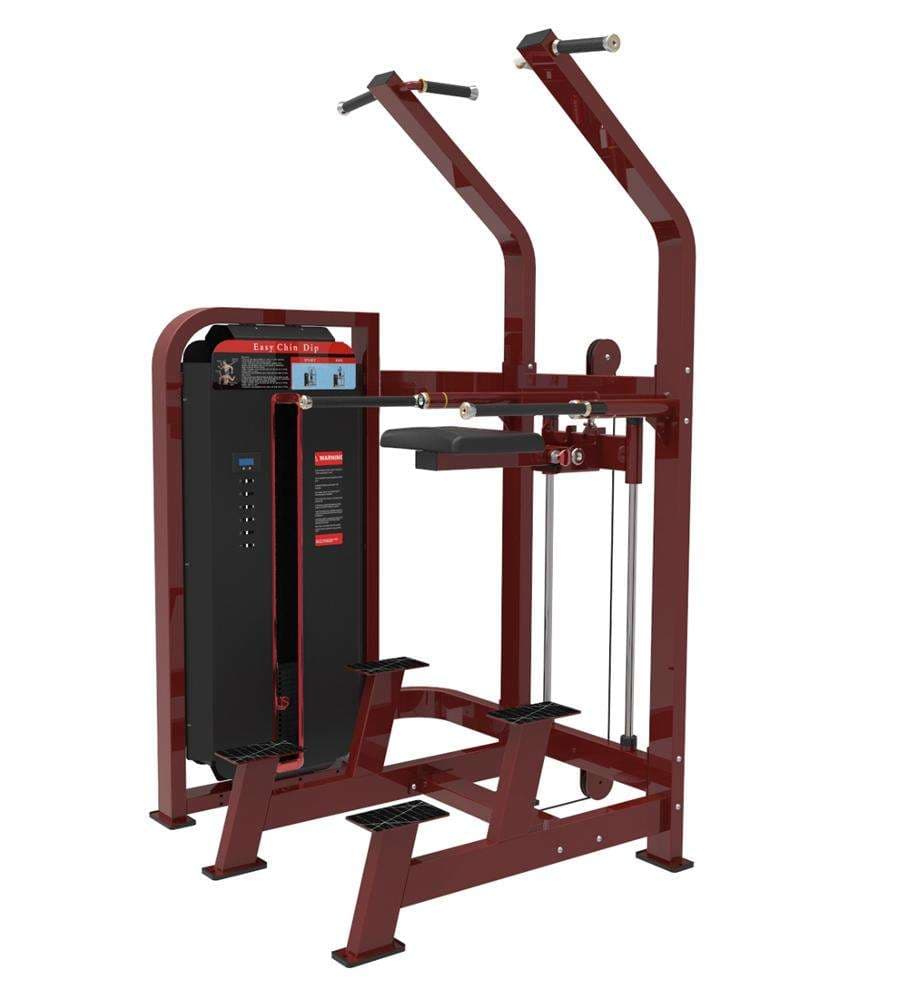 Kneeling Type Dip / Chin Assist
