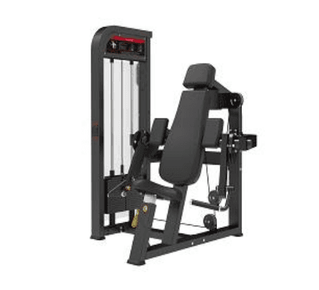 Biceps Curl