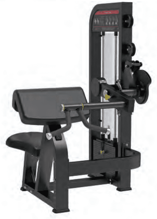 Biceps Curl / Triceps
