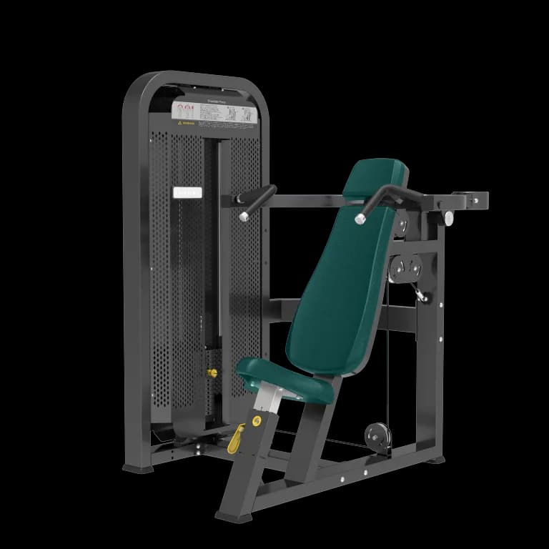 Shoulder Press thumbnail 4