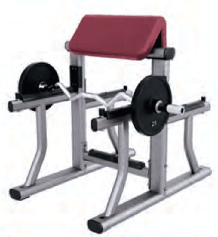 Arm Curl Bench