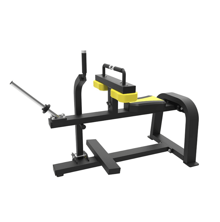 Seated Calf