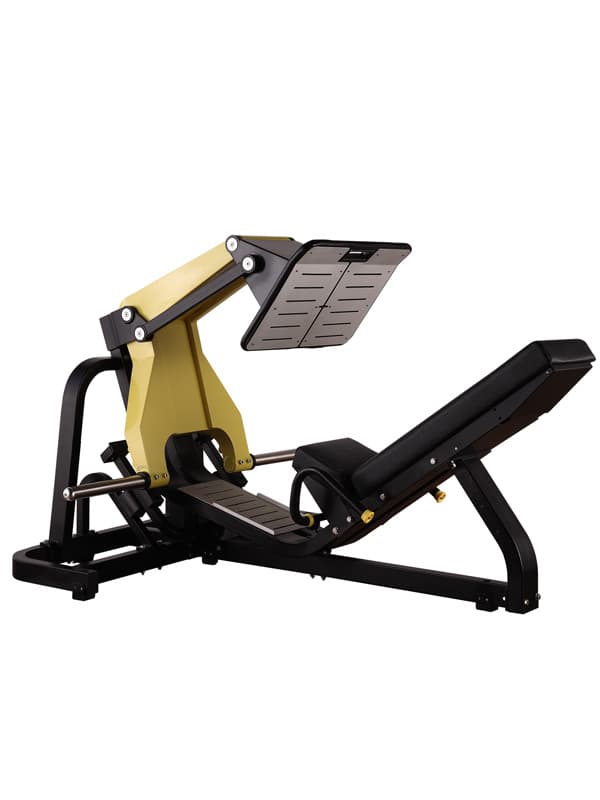 Leg Press - Image 1