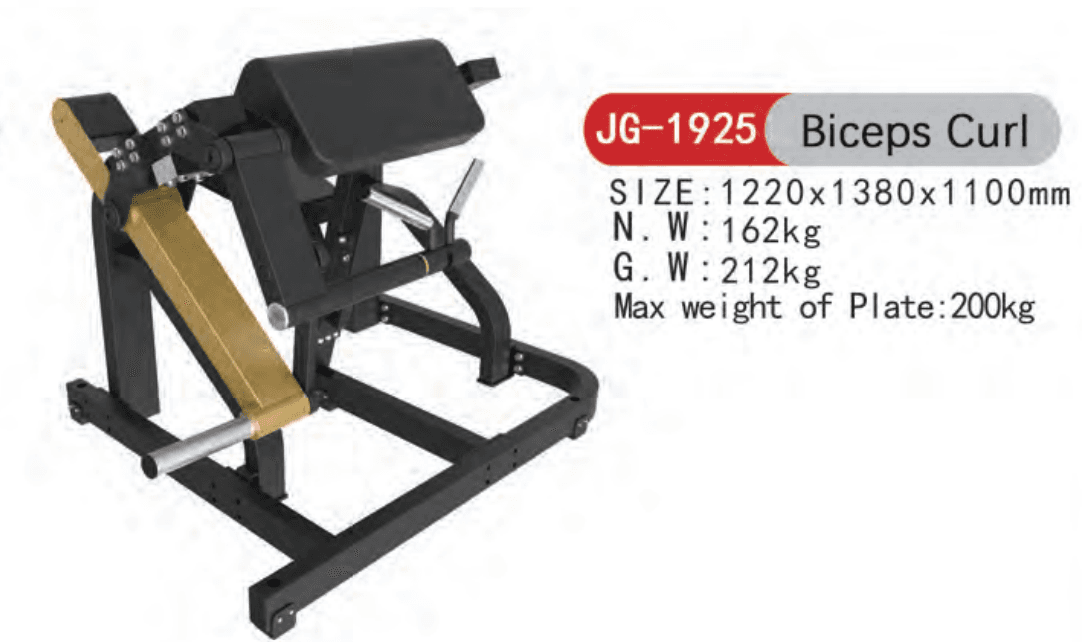 Biceps - Image 1