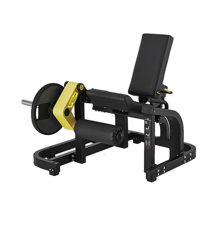 Leg Extension - Image 1
