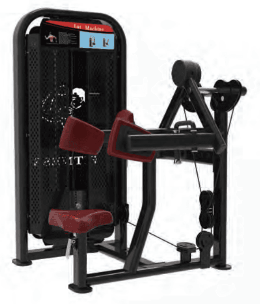 Lateral Raise - Image 1