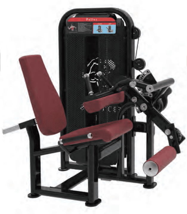 Leg Extension / Leg Curl - Image 1