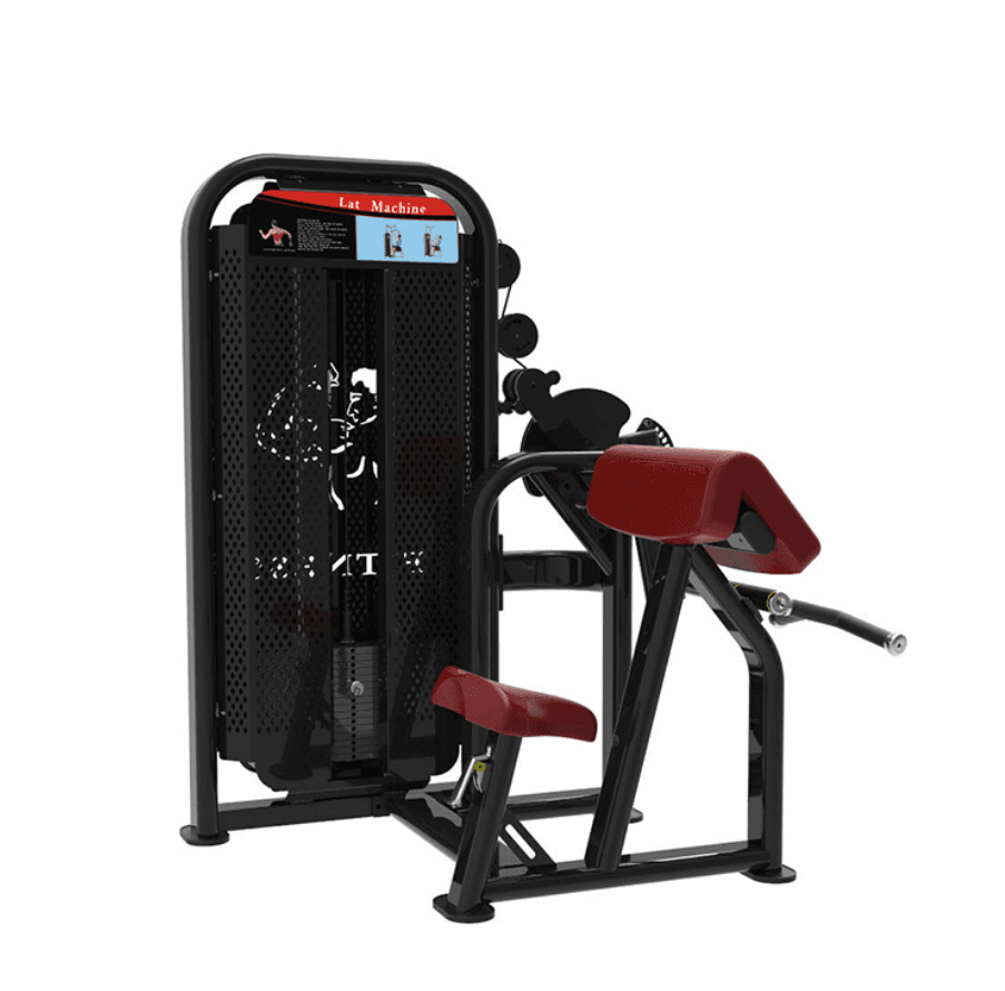 Biceps / Triceps - Image 1