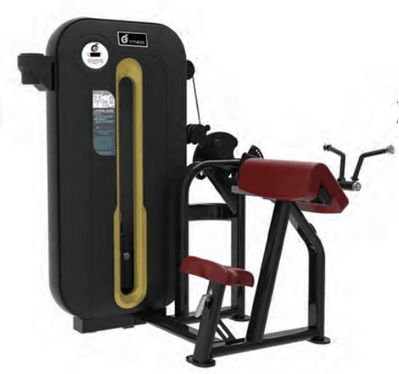 Biceps Curl / Triceps Curl - Image 1