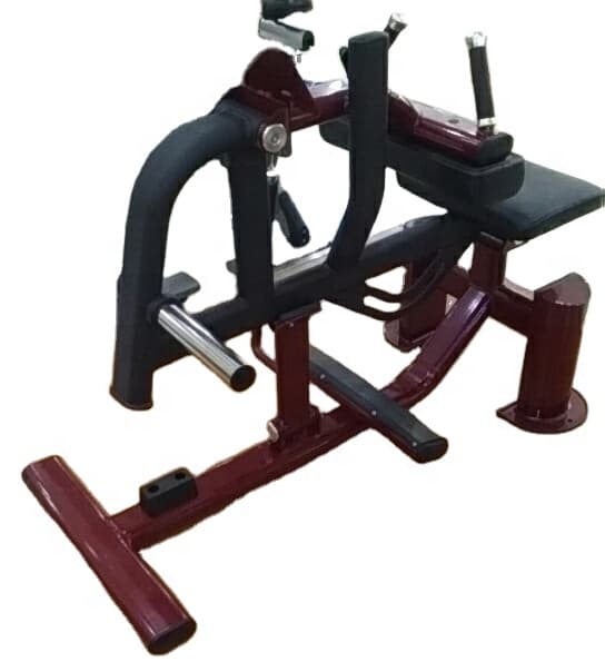 Calf Raise - Image 1
