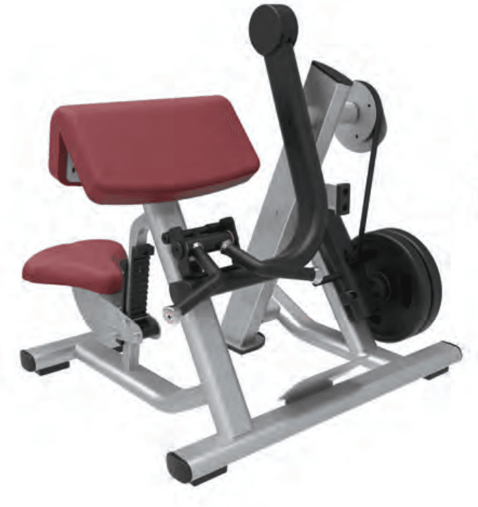 Biceps Curl - Image 1