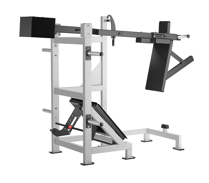 Pendulum Squatting