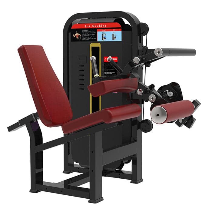 Leg Curl - Image 1