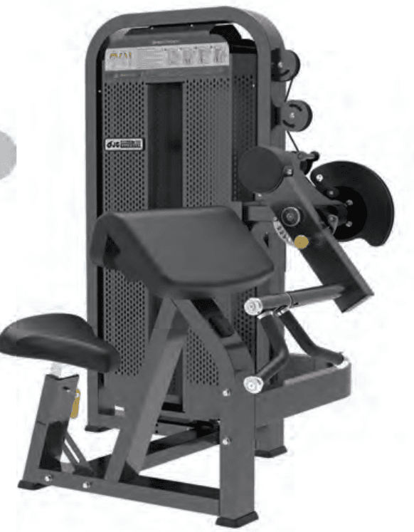 Biceps Curl / Triceps - Image 1